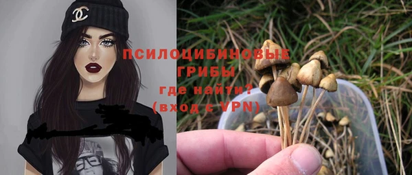 ECSTASY Майский