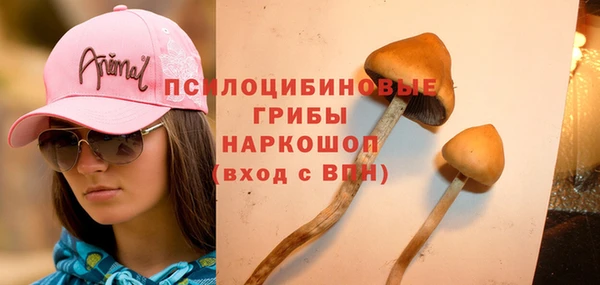 ECSTASY Майский