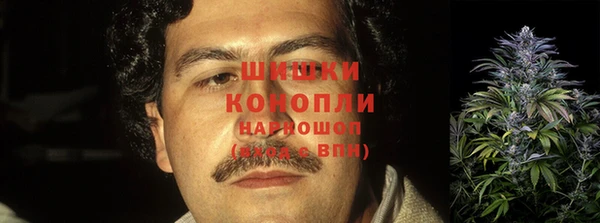 сатива Магадан