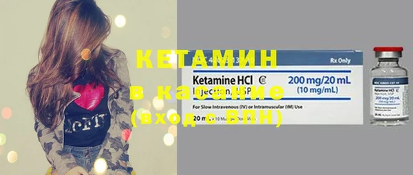 индика Верхний Тагил