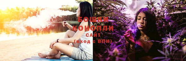 2c-b Мегион