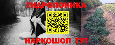 гашик Обь