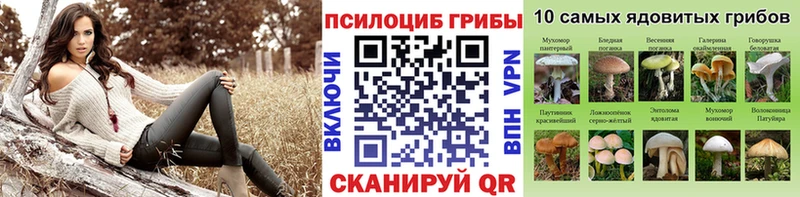 Галлюциногенные грибы MAGIC MUSHROOMS  OMG зеркало  Черемхово 