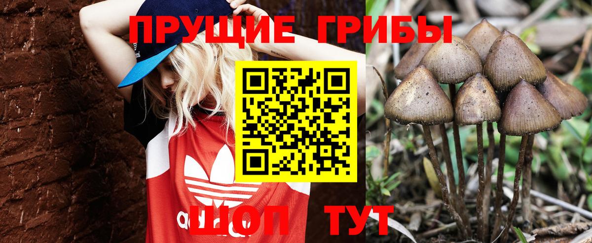 что такое   Галлюциногенные грибы Cubensis  Черемхово  Вход с VPN  Галлюциногенные грибы GOLDEN TEACHER 