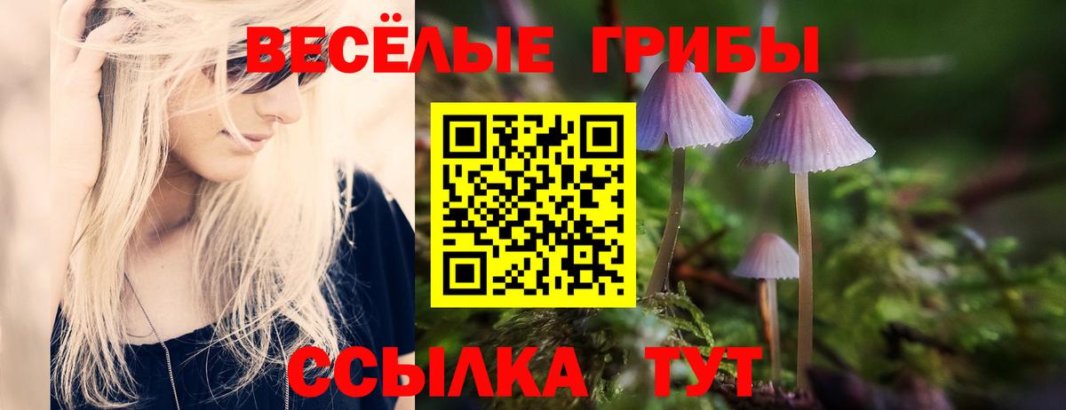 Галлюциногенные грибы прущие грибы Черемхово